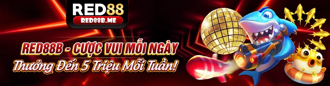 Tin tức mới nhất từ 56wim05